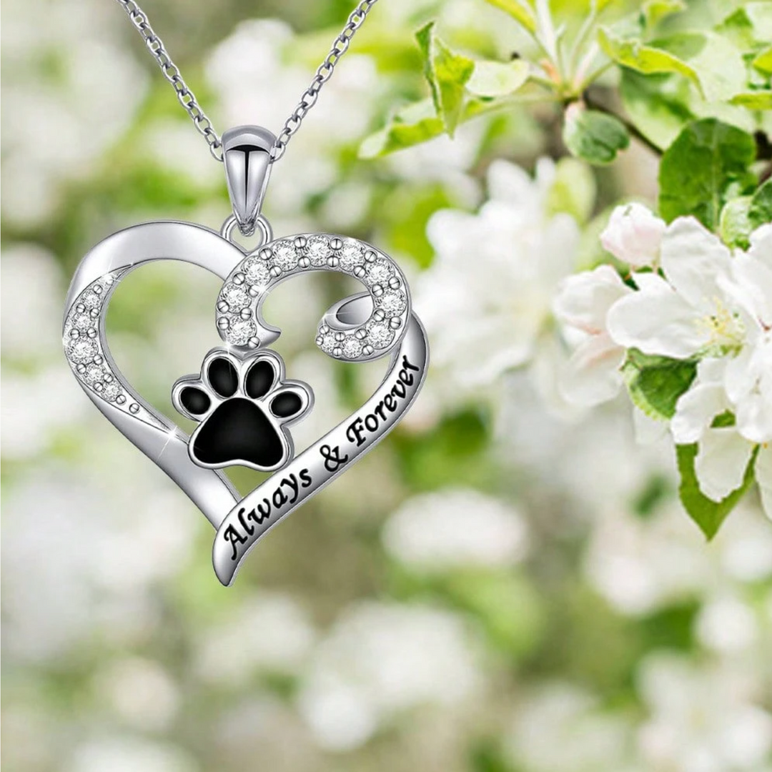 Delicate Heart & Dog Paw Necklace in Stainless Steel