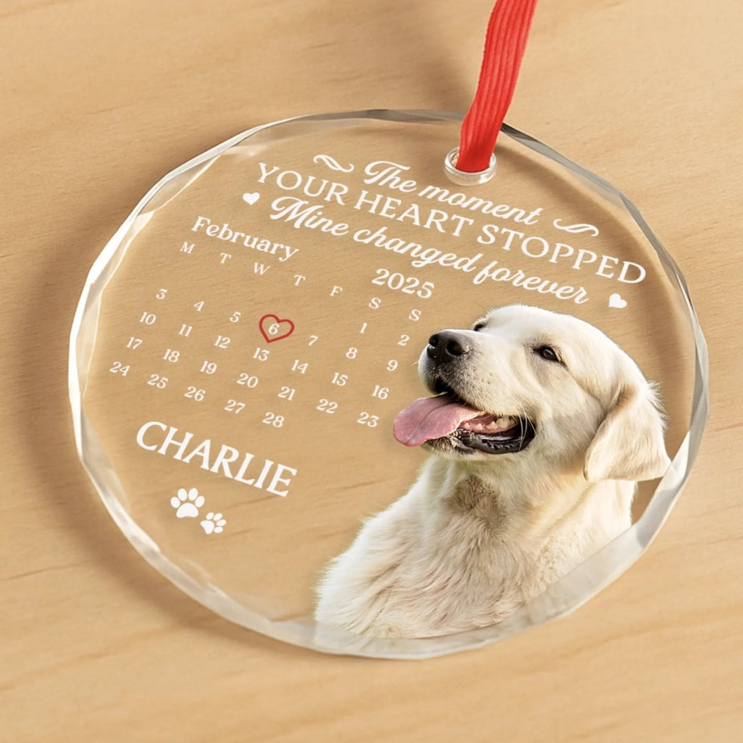 The Moment Your Heart Stopped Mine Changed Forever (Ver Pet) - Personalized Glass Ornament - Christmas Gift For Family, Memorial Pet, Dog, Cat HH01
