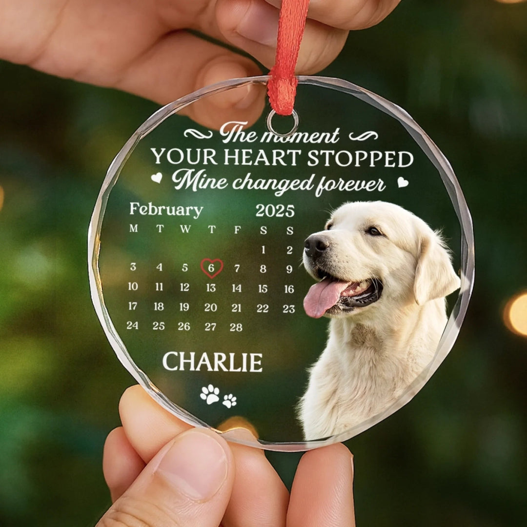 The Moment Your Heart Stopped Mine Changed Forever (Ver Pet) - Personalized Glass Ornament - Christmas Gift For Family, Memorial Pet, Dog, Cat HH01